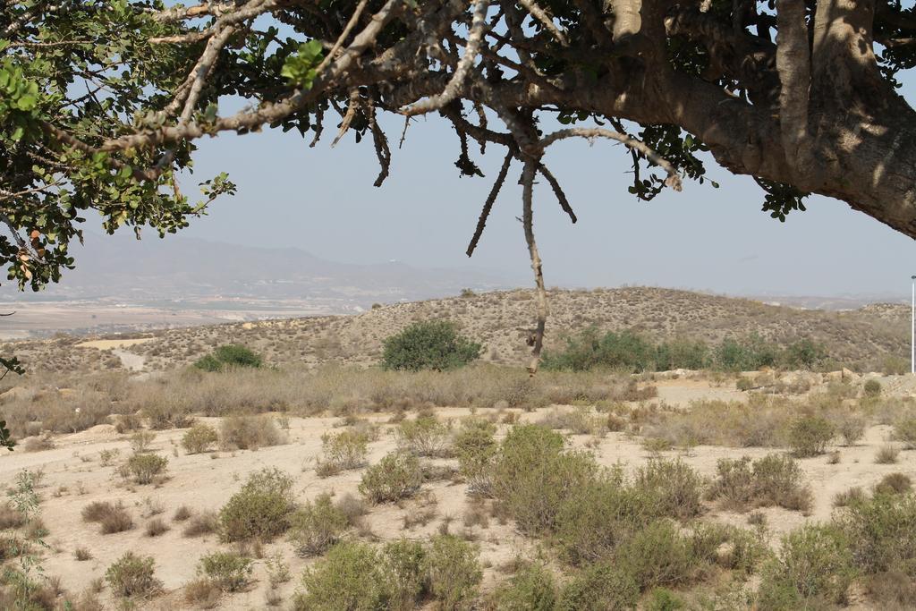 Casa Alegria Mazarron别墅 外观 照片